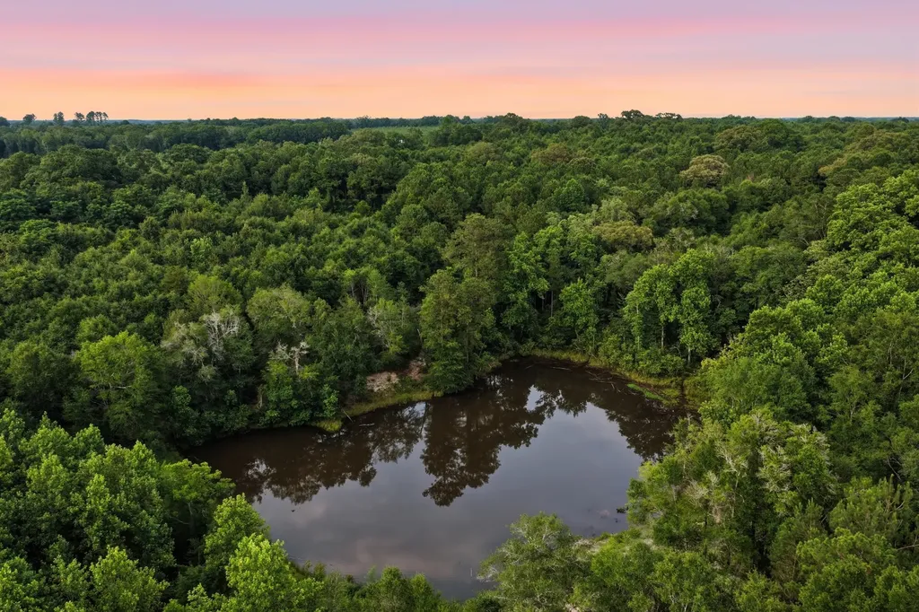 0 County Road 438 Elba AL 36323