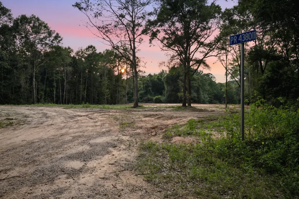 0 County Road 438 Elba AL 36323