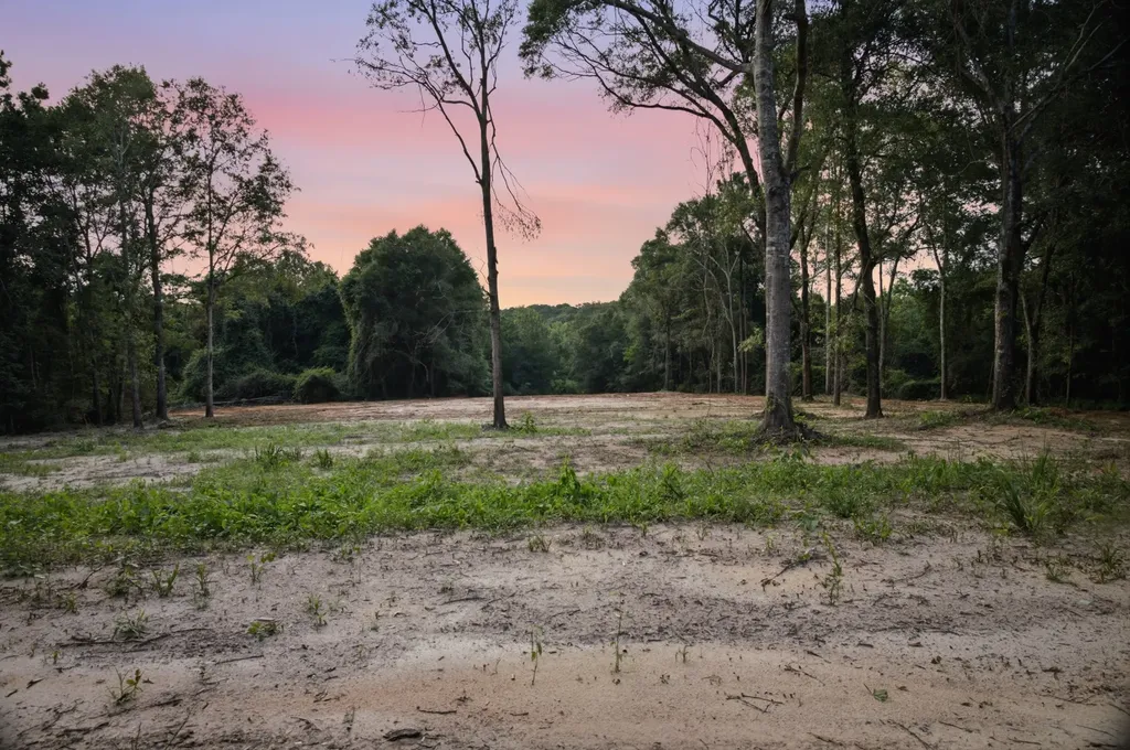 0 County Road 438 Elba AL 36323