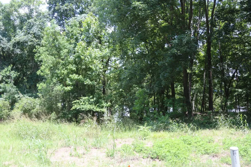 2420 River Ridge Way Montgomery AL 36108