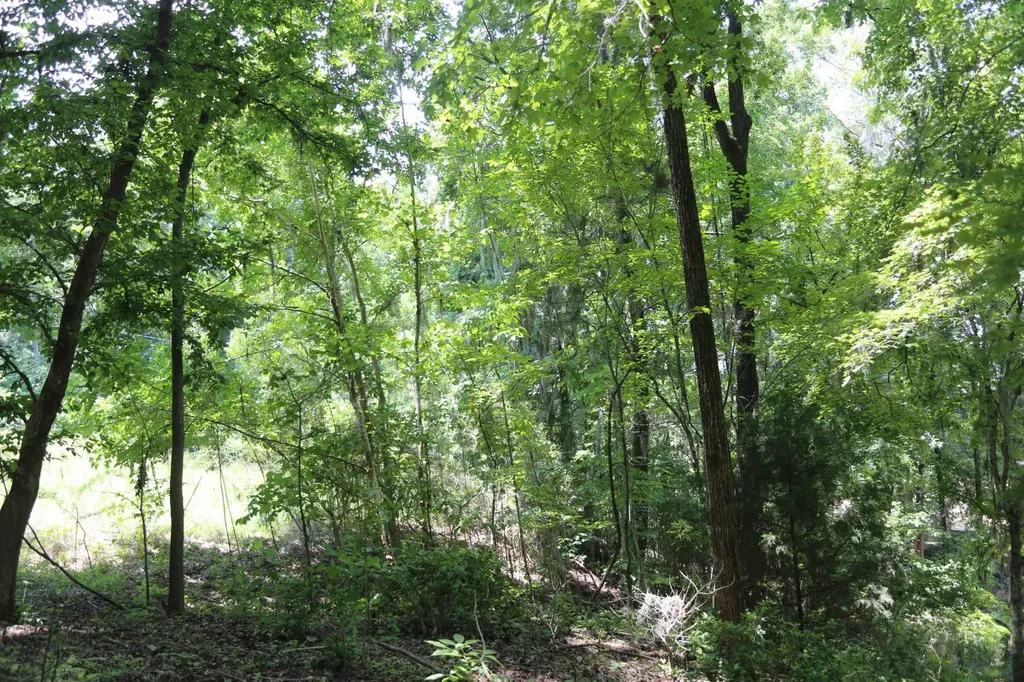 2420 River Ridge Way Montgomery AL 36108