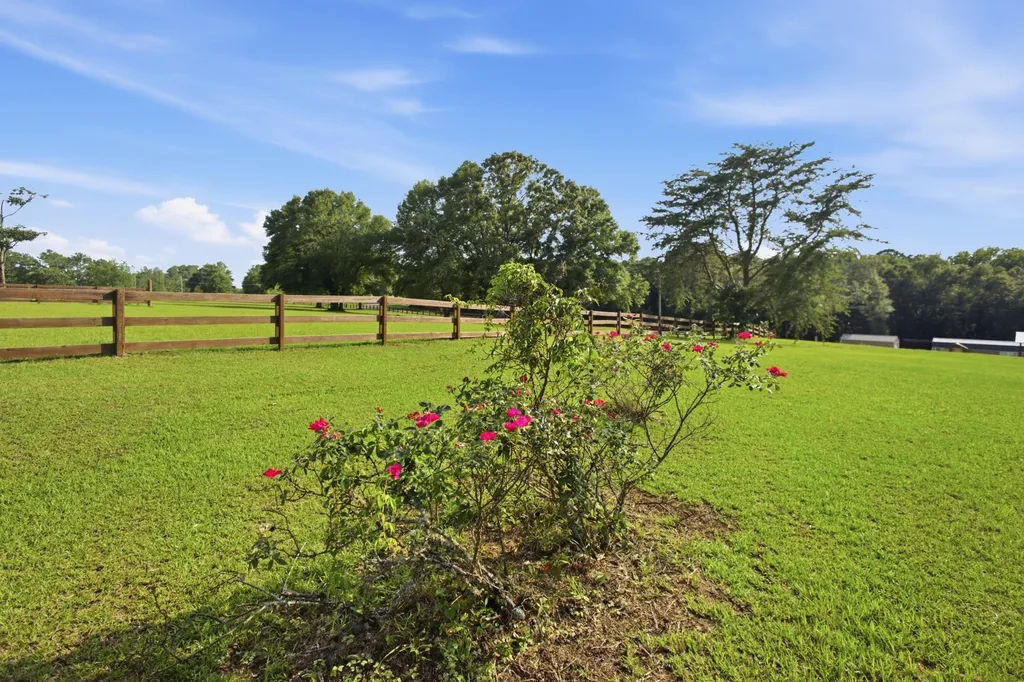 344 Hidden Springs Drive Midland City AL 36350