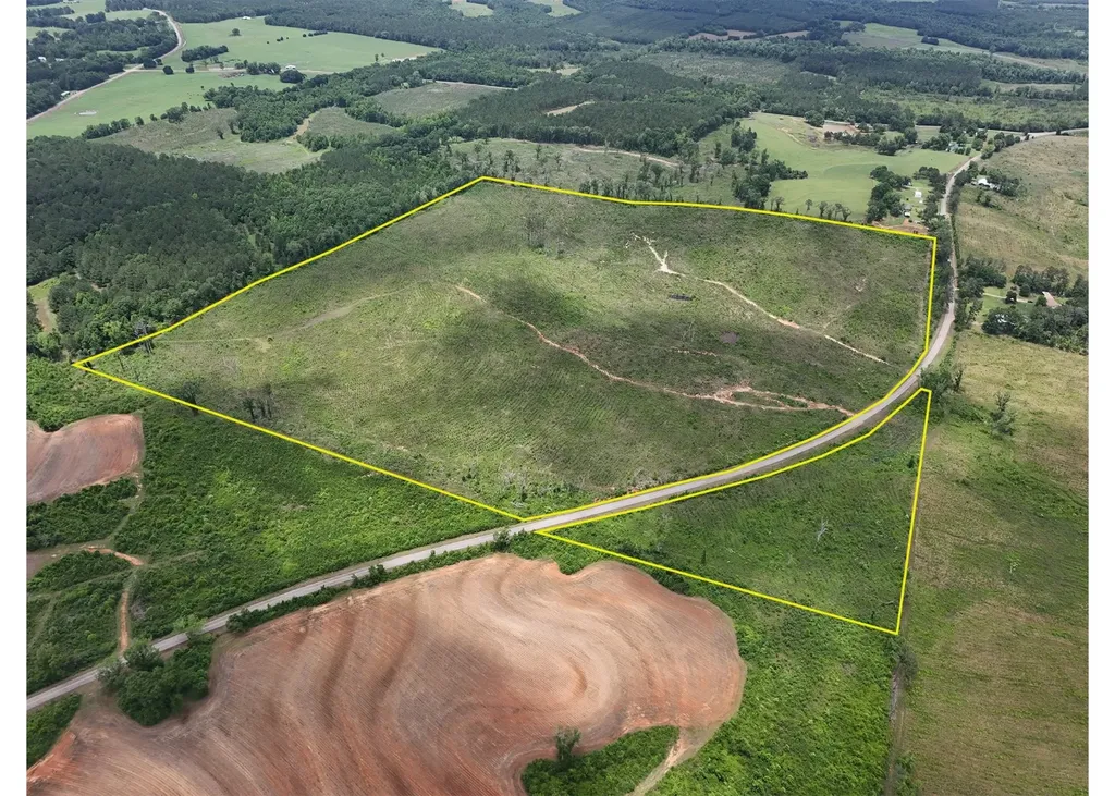 0 County Road 75 Clopton AL 36317