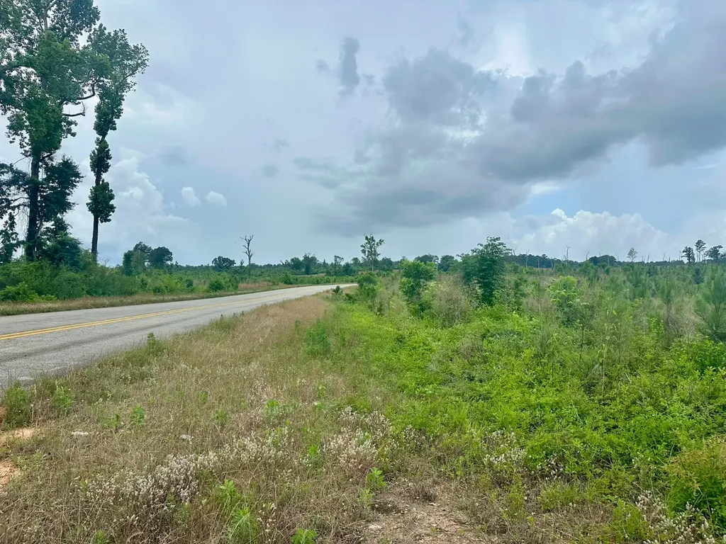 0 County Road 75 Clopton AL 36317
