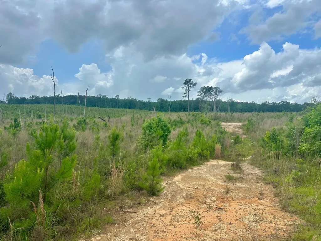 0 County Road 75 Clopton AL 36317