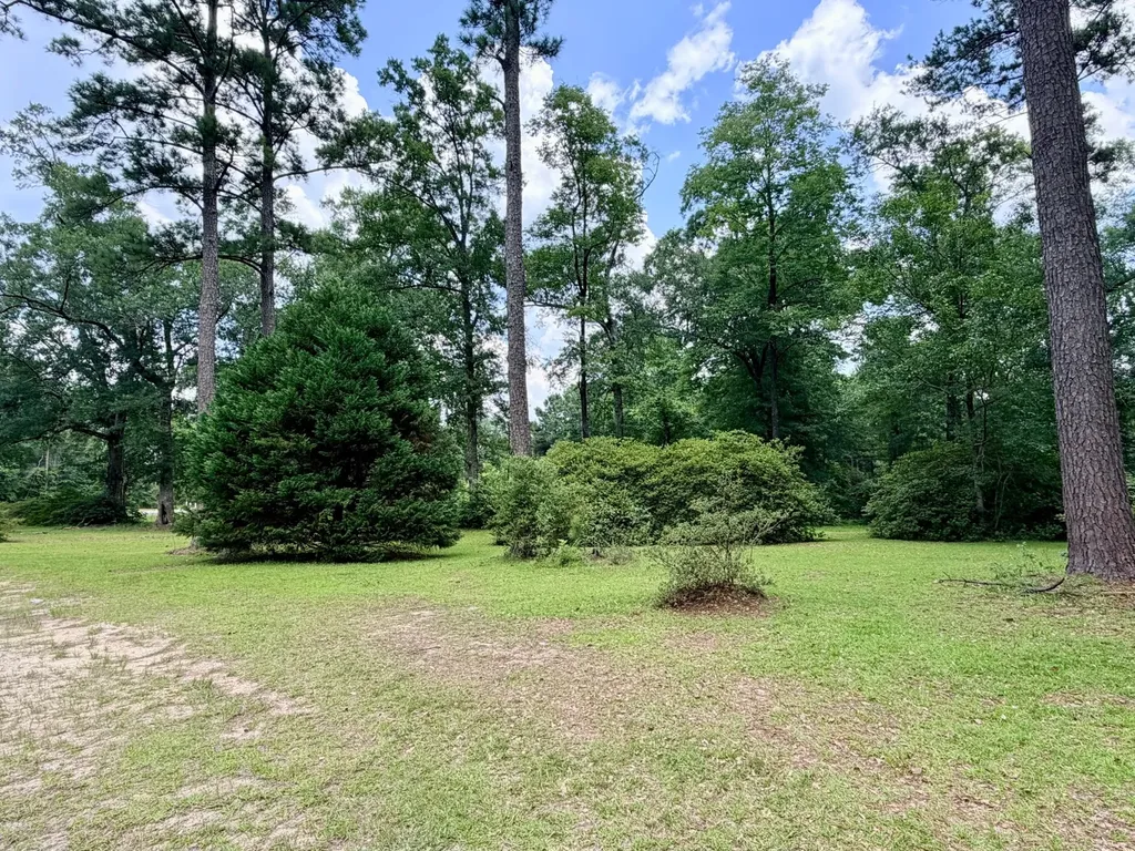 782 Highway 17 Deer Park AL 36529