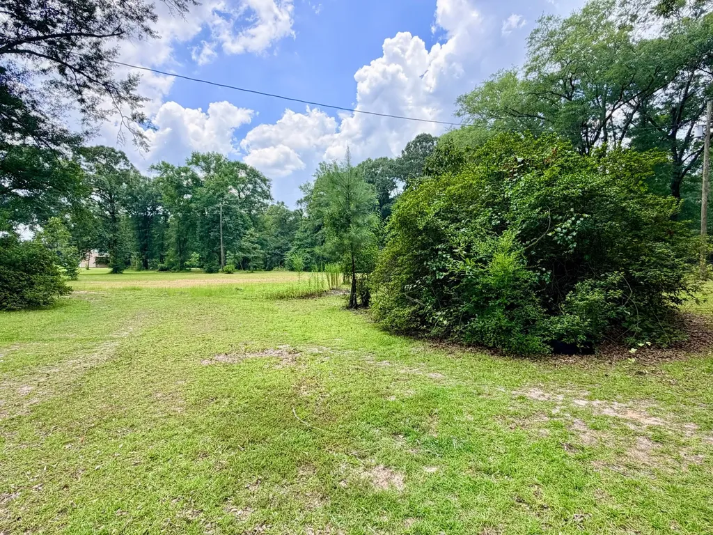 782 Highway 17 Deer Park AL 36529