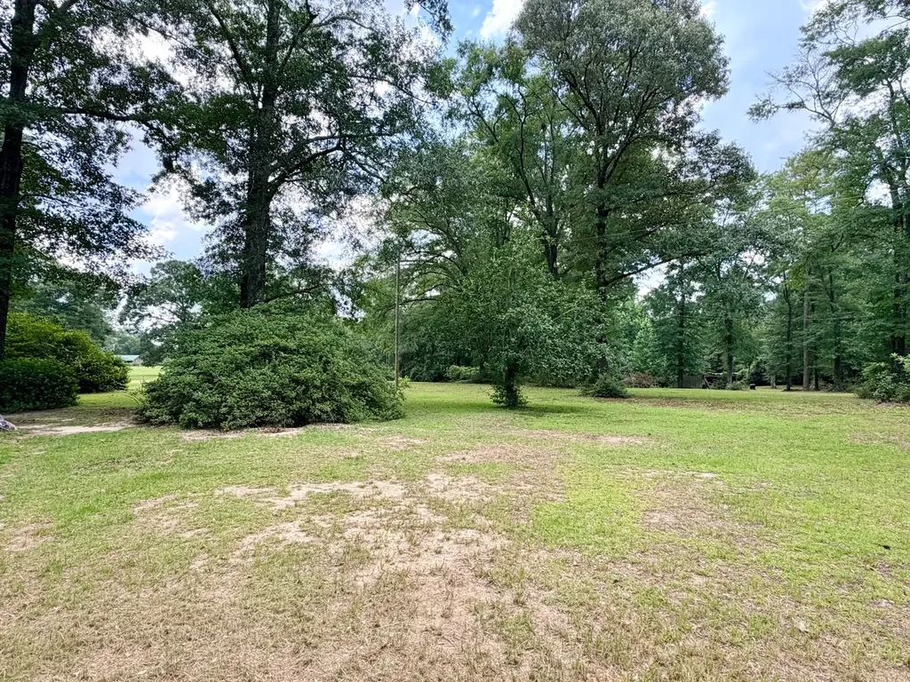 782 Highway 17 Deer Park AL 36529