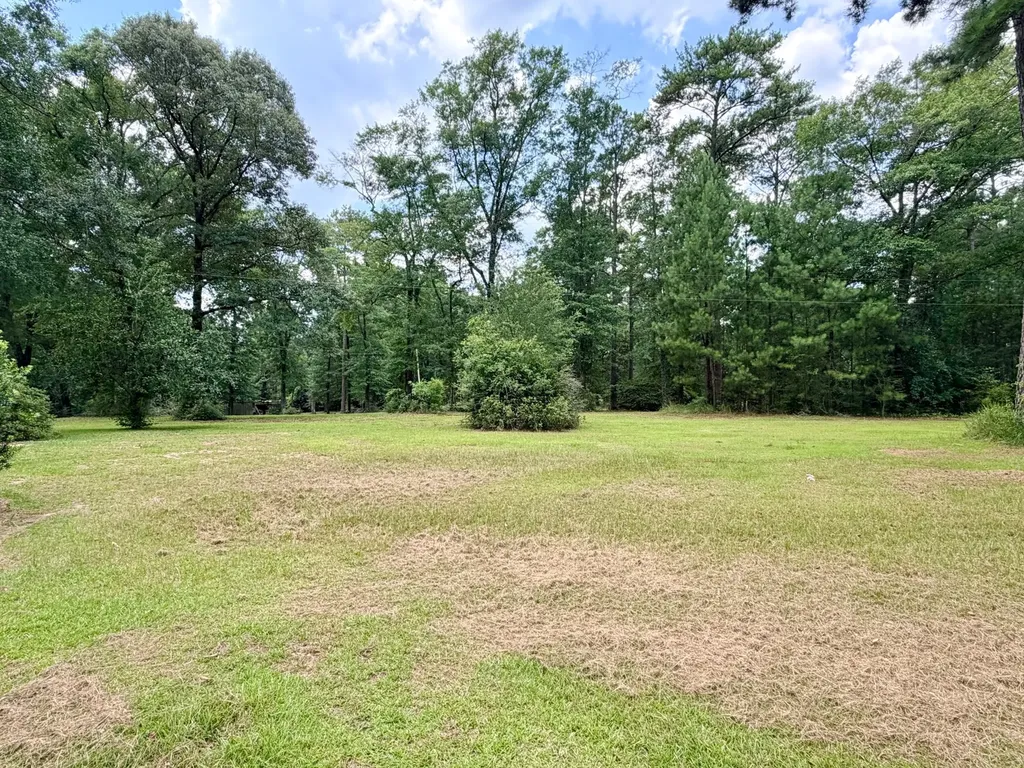 782 Highway 17 Deer Park AL 36529