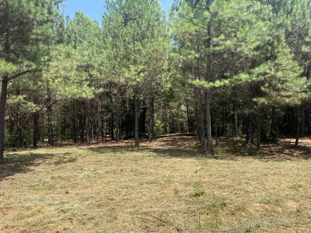 0 Corbett Road Winfield AL 35594