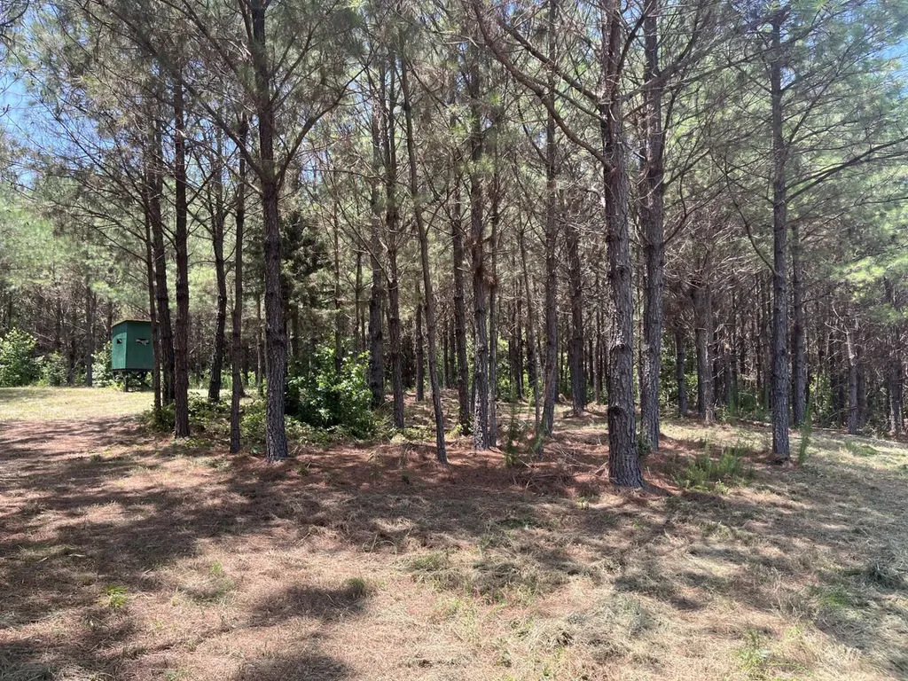0 Corbett Road Winfield AL 35594