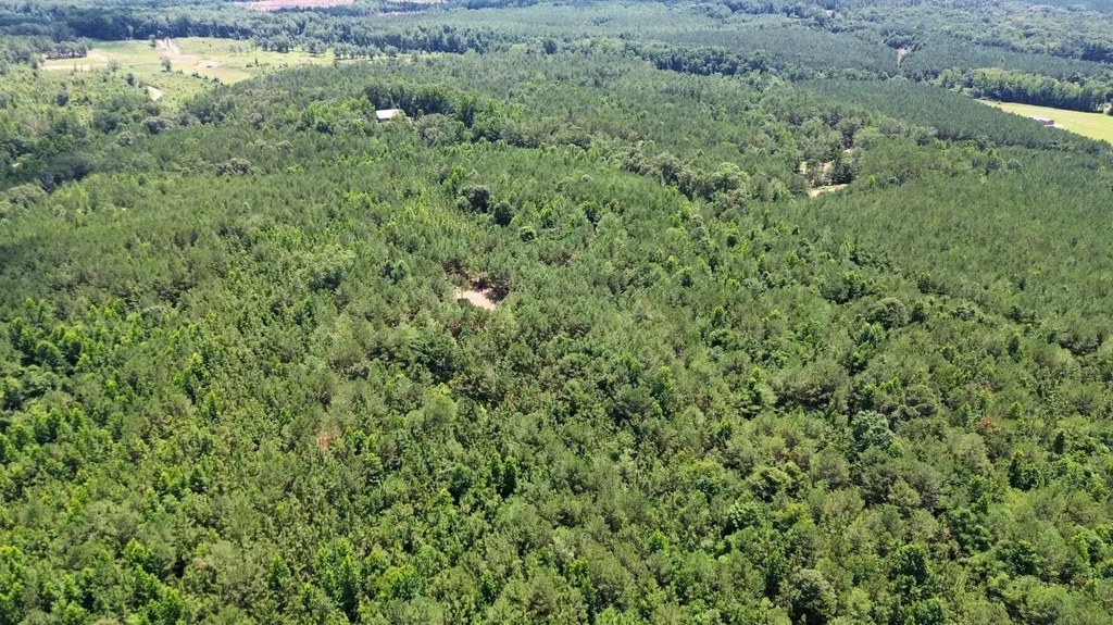 0 Corbett Road Winfield AL 35594