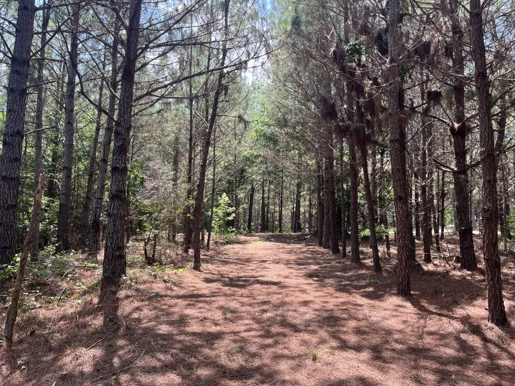 0 Corbett Road Winfield AL 35594