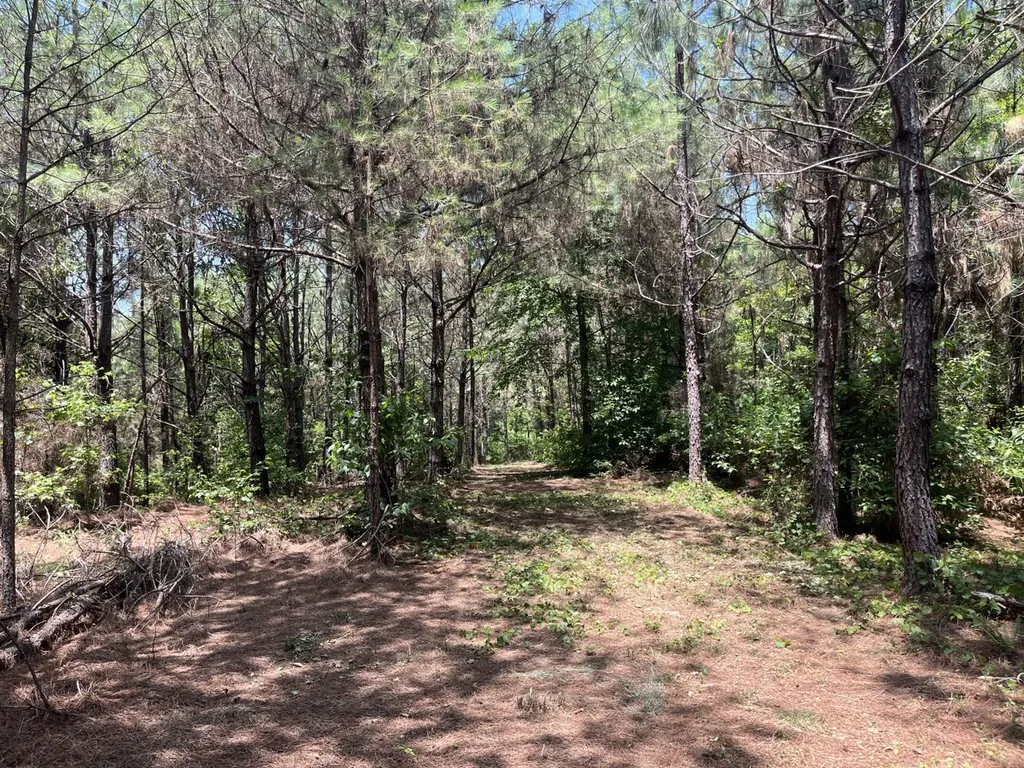 0 Corbett Road Winfield AL 35594