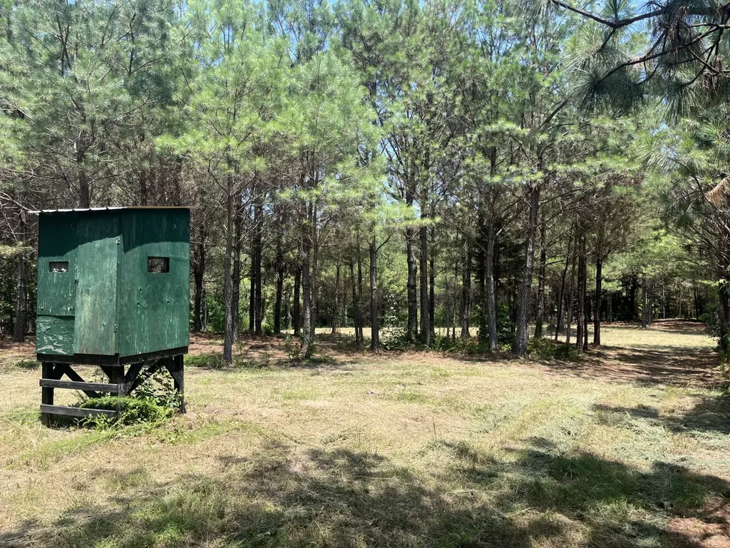 0 Corbett Road Winfield AL 35594