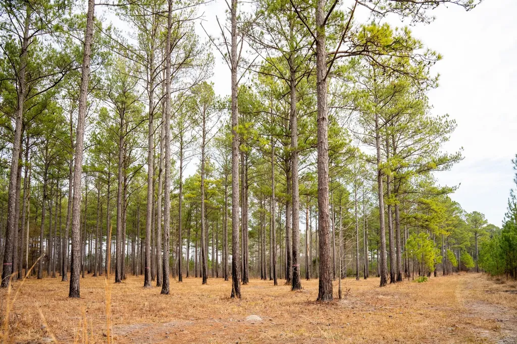 0 County Road 35 Midway AL 36053