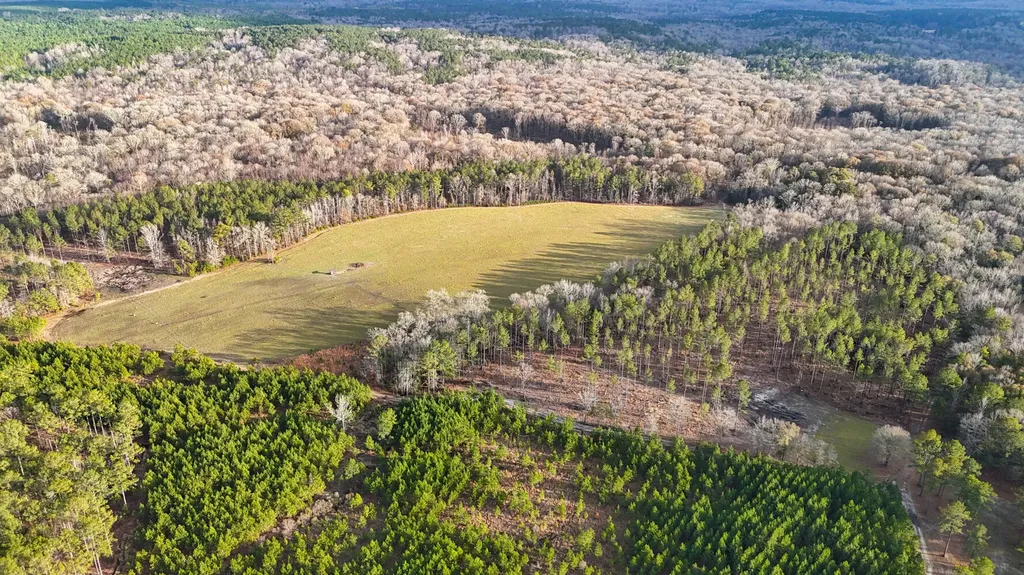 0 County Road 35 Midway AL 36053
