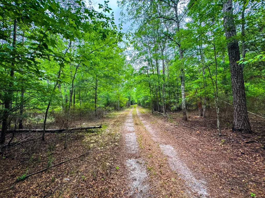 0 County Road 35 Midway AL 36053