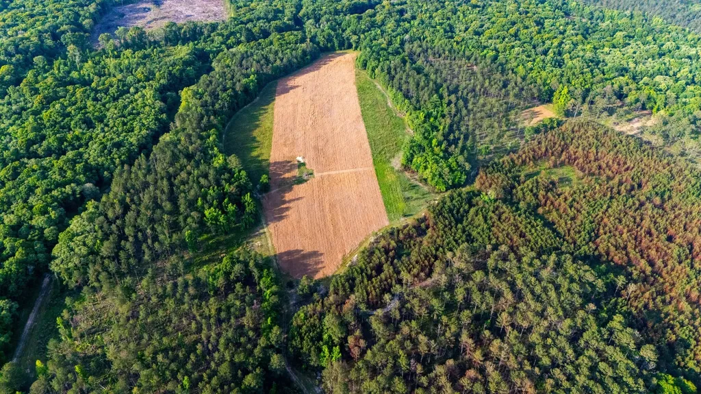 0 County Road 35 Midway AL 36053