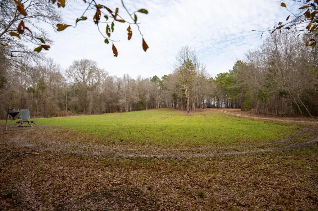 0 County Road 35 Midway AL 36053