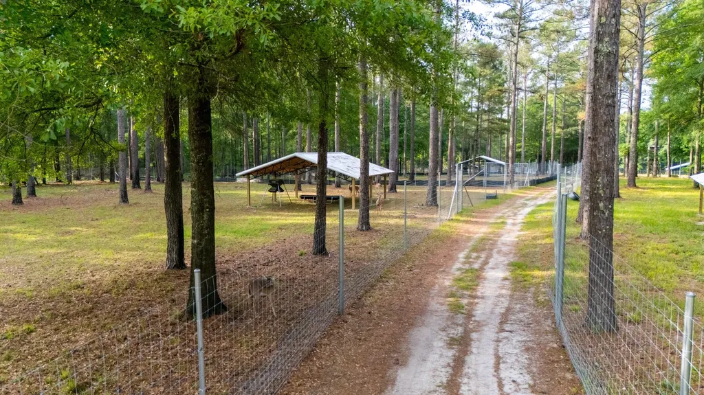 0 County Road 35 Midway AL 36053