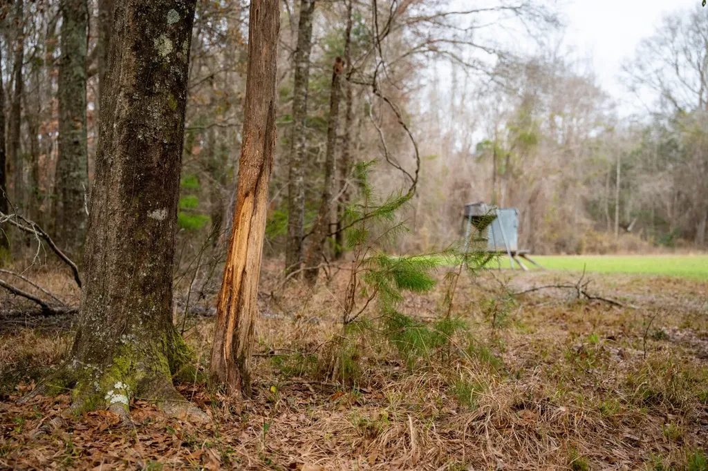 0 County Road 35 Midway AL 36053