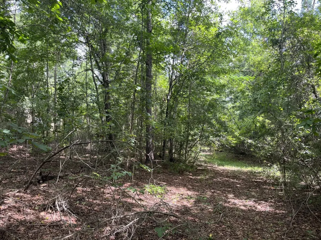565 County Road 361 Billingsley AL 36006
