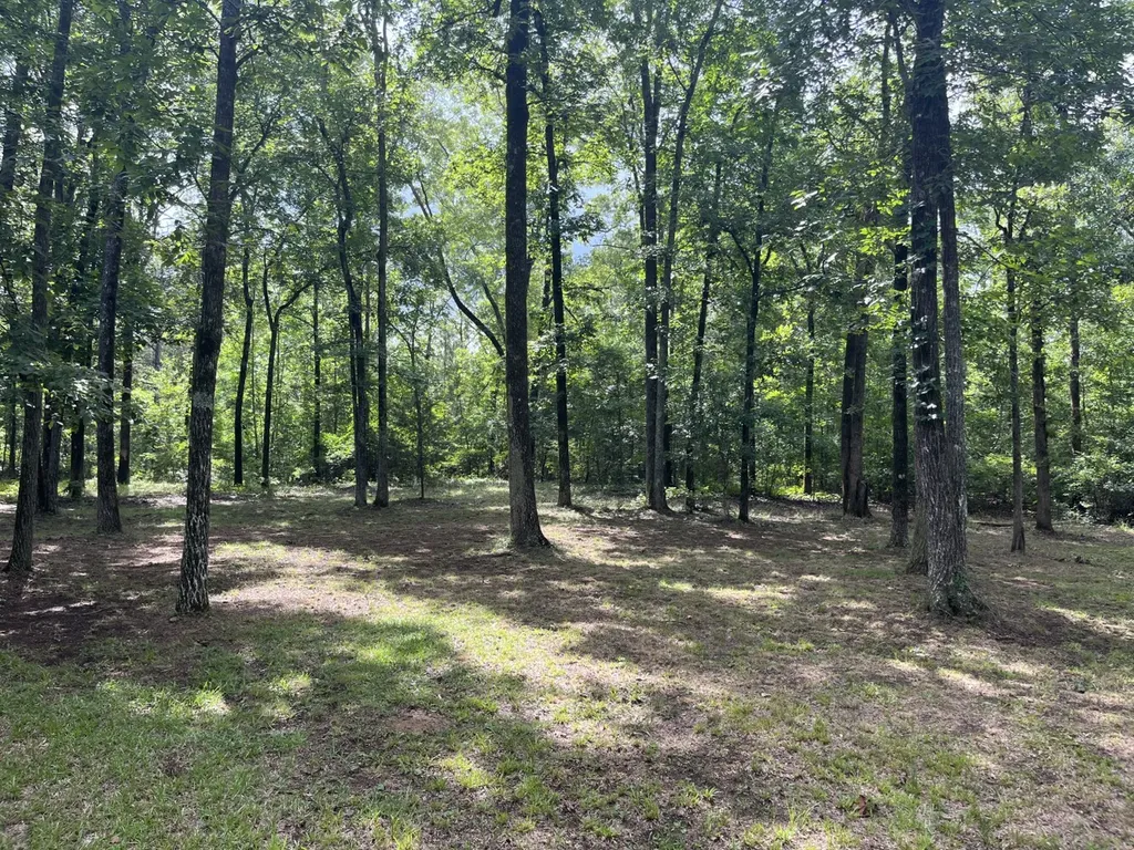 565 County Road 361 Billingsley AL 36006