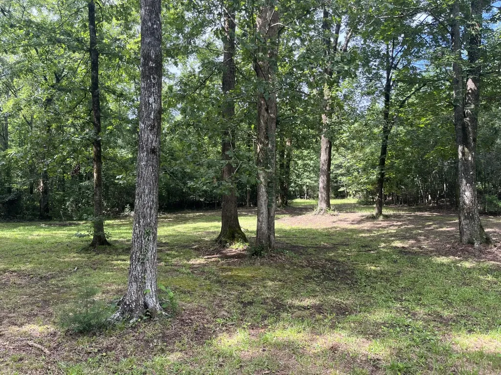 565 County Road 361 Billingsley AL 36006