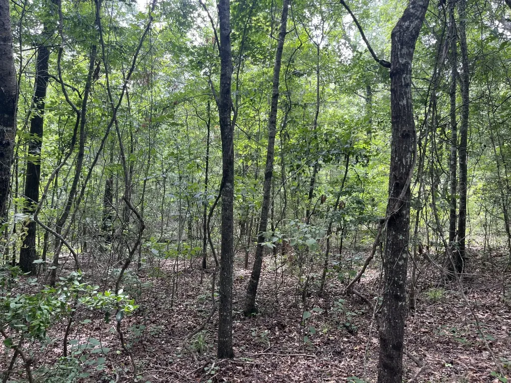 565 County Road 361 Billingsley AL 36006