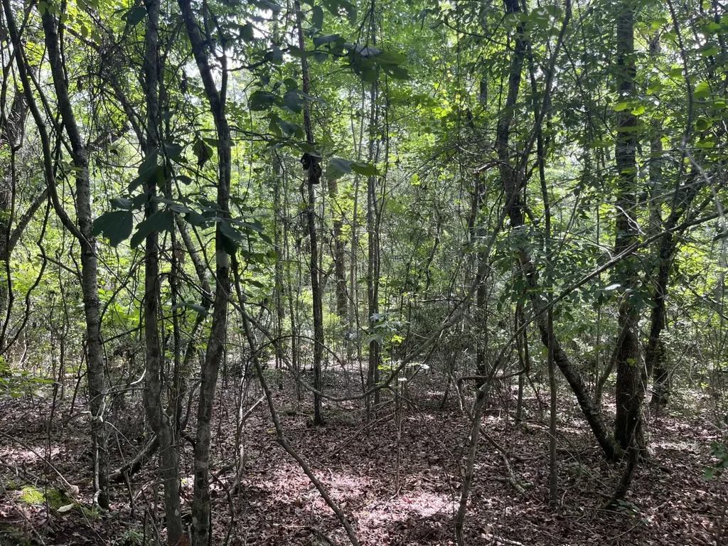 565 County Road 361 Billingsley AL 36006