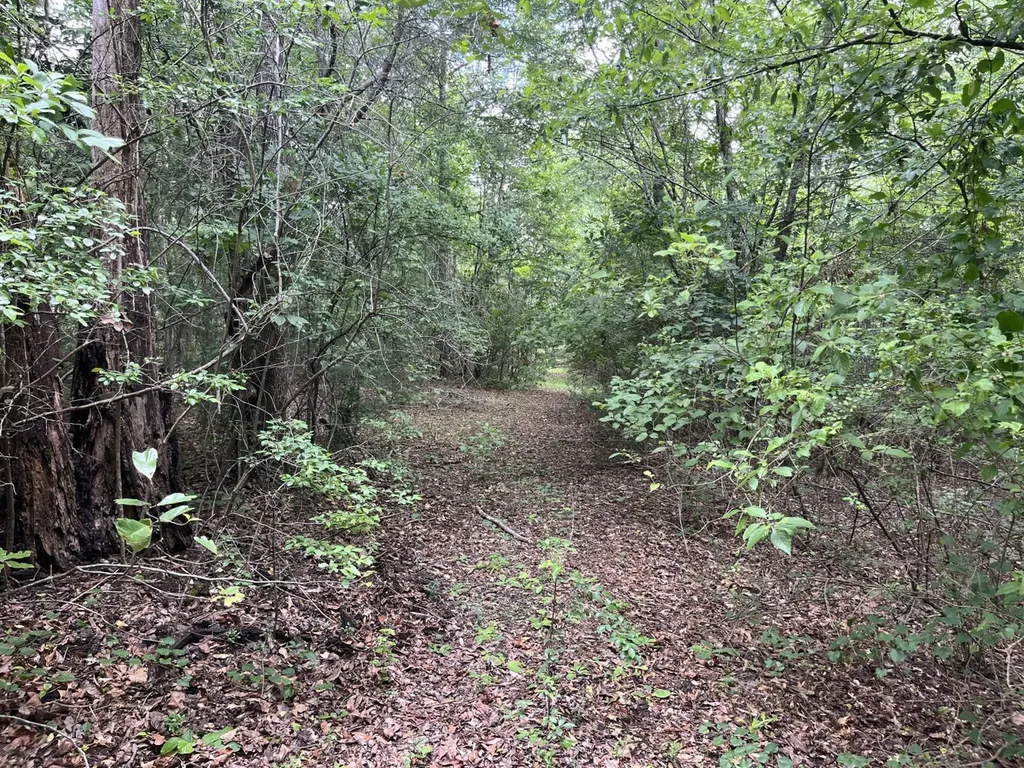 565 County Road 361 Billingsley AL 36006