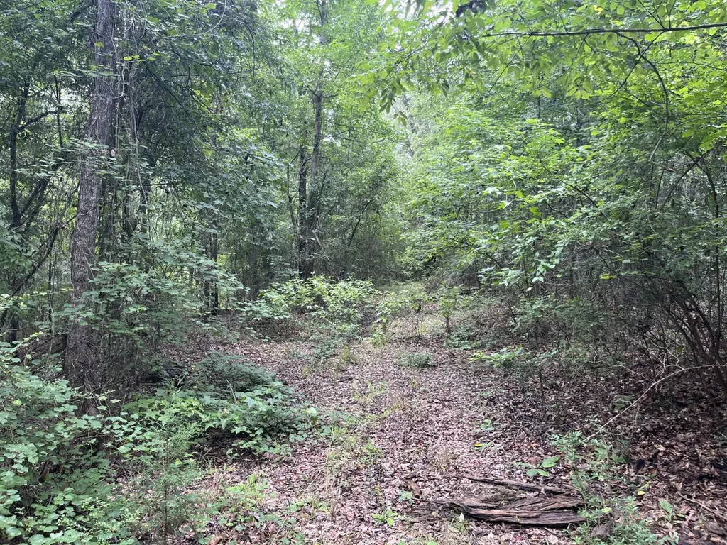 565 County Road 361 Billingsley AL 36006