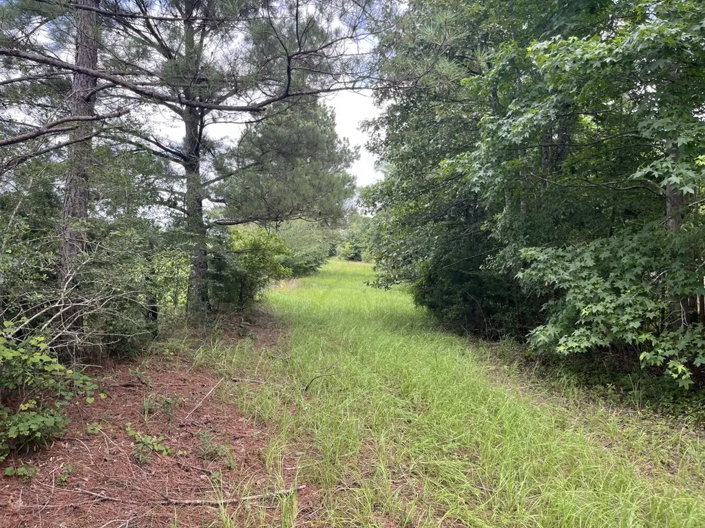 565 County Road 361 Billingsley AL 36006
