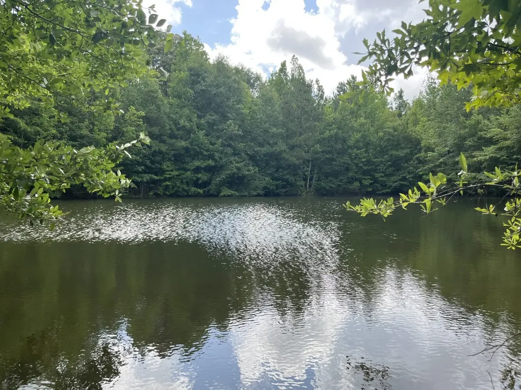 565 County Road 361 Billingsley AL 36006