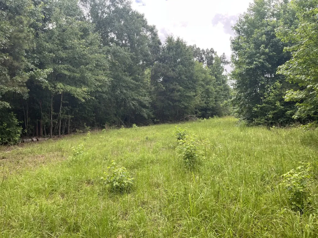 565 County Road 361 Billingsley AL 36006