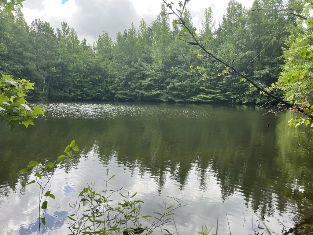 565 County Road 361 Billingsley AL 36006