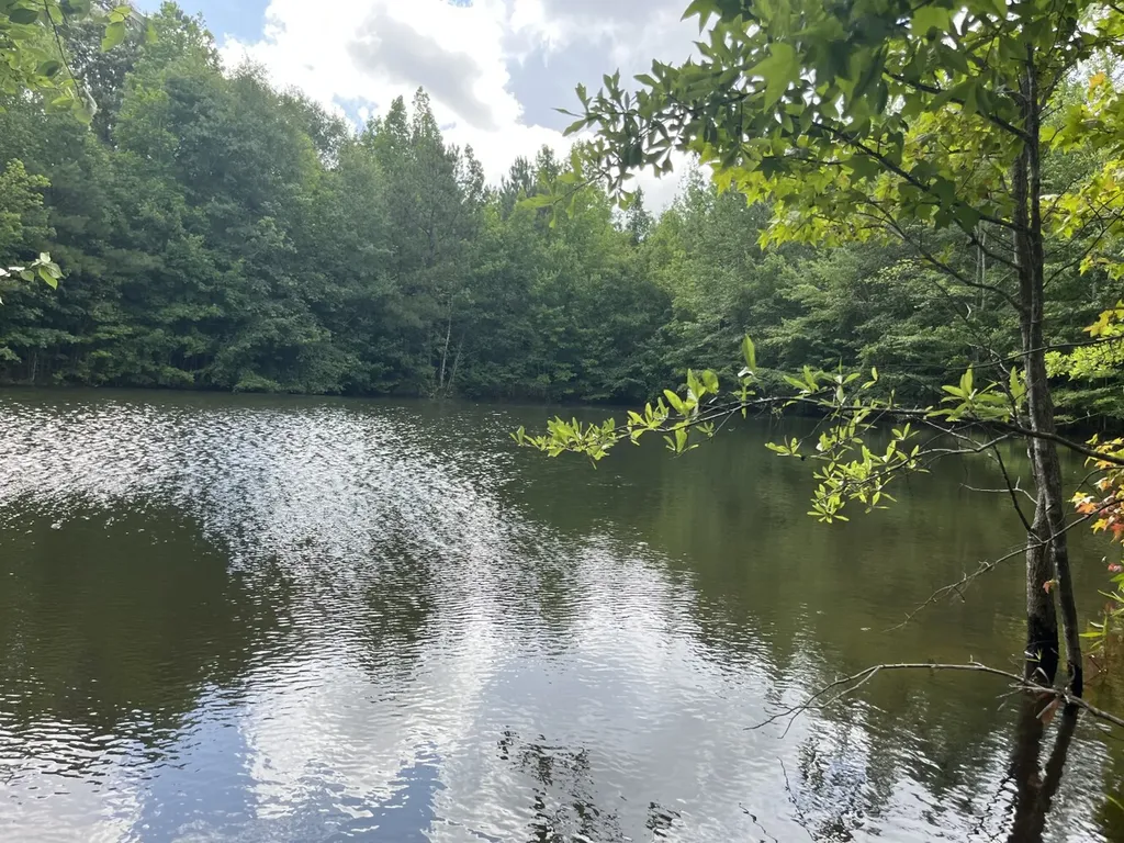 565 County Road 361 Billingsley AL 36006