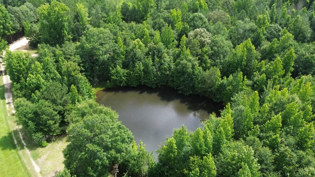 565 County Road 361 Billingsley AL 36006