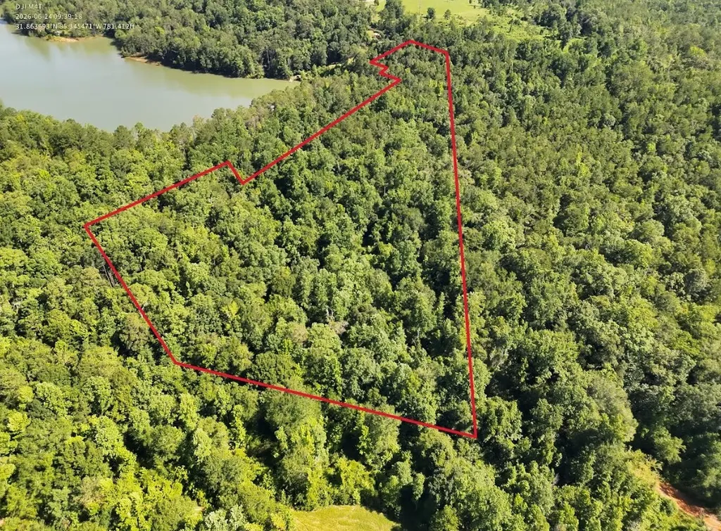 0 Indian Lake Road 98-100 Clayton AL 36016