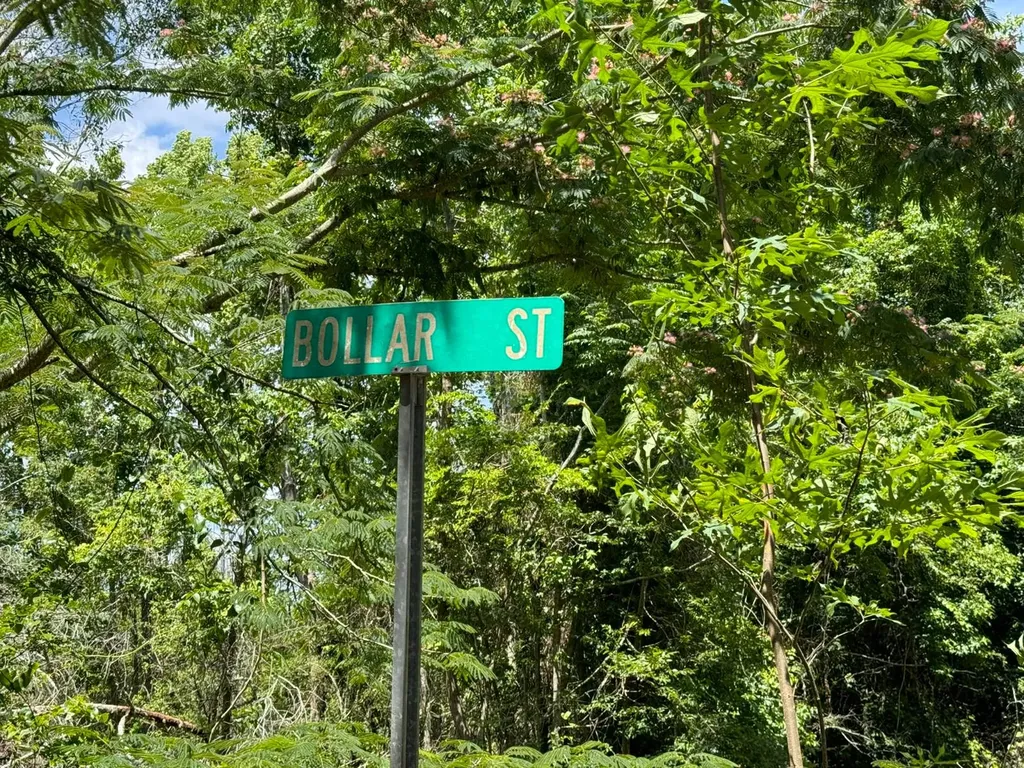 01 Bollar Street Cuba AL 36907