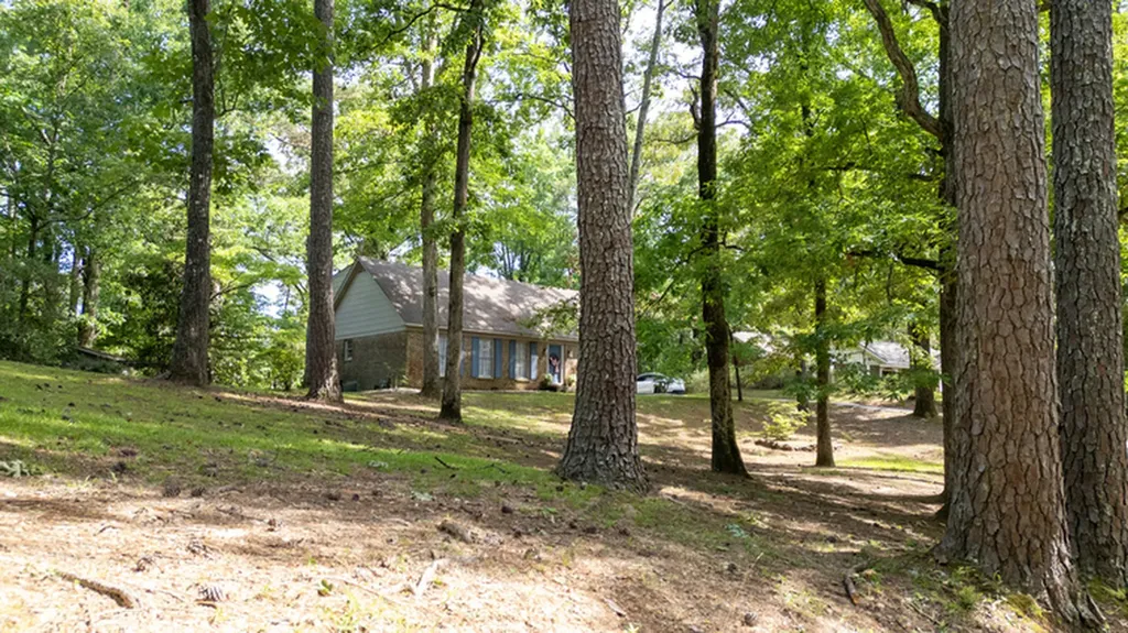 451 13th Street SW Fayette AL 35555