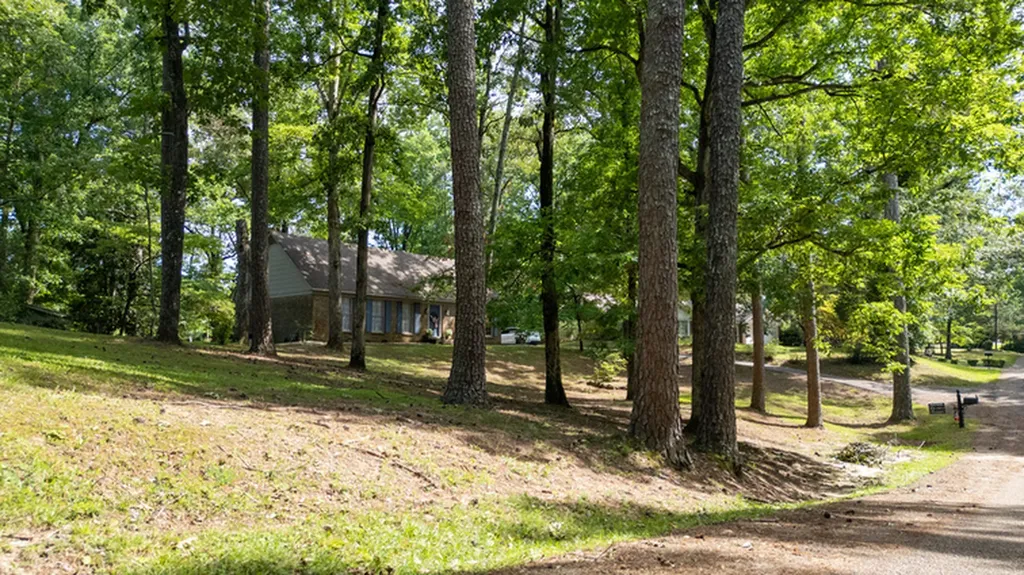 451 13th Street SW Fayette AL 35555
