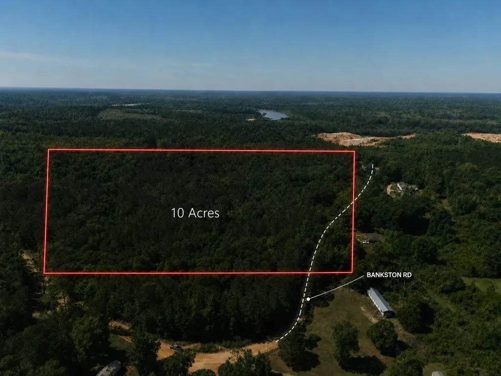 125 Bankston Road Jackson AL 36545