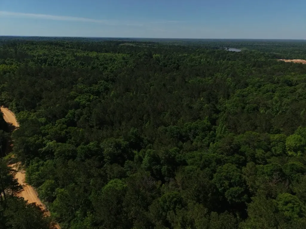 125 Bankston Road Jackson AL 36545