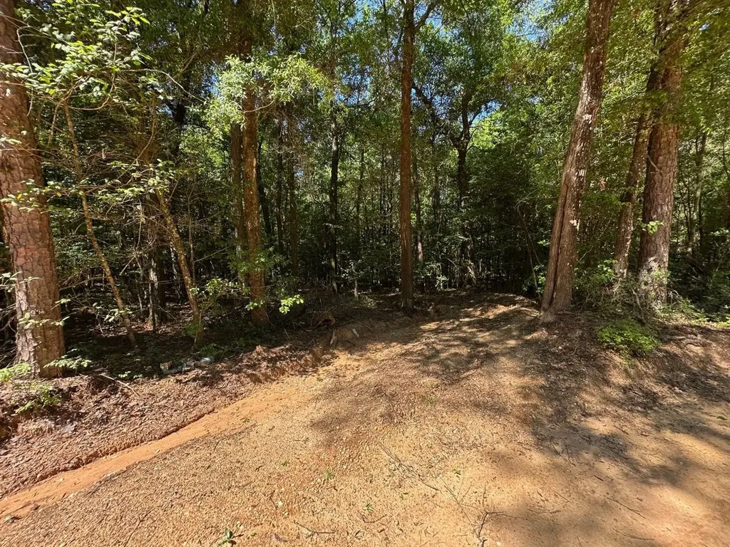 125 Bankston Road Jackson AL 36545