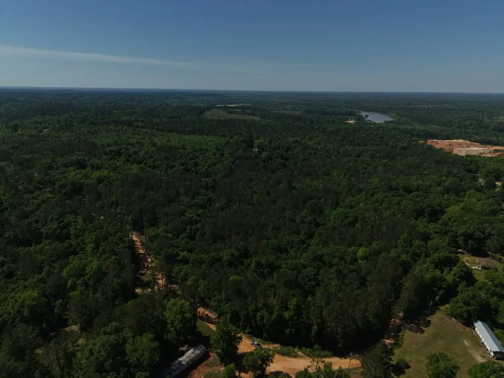 125 Bankston Road Jackson AL 36545