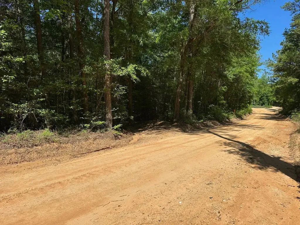 125 Bankston Road Jackson AL 36545