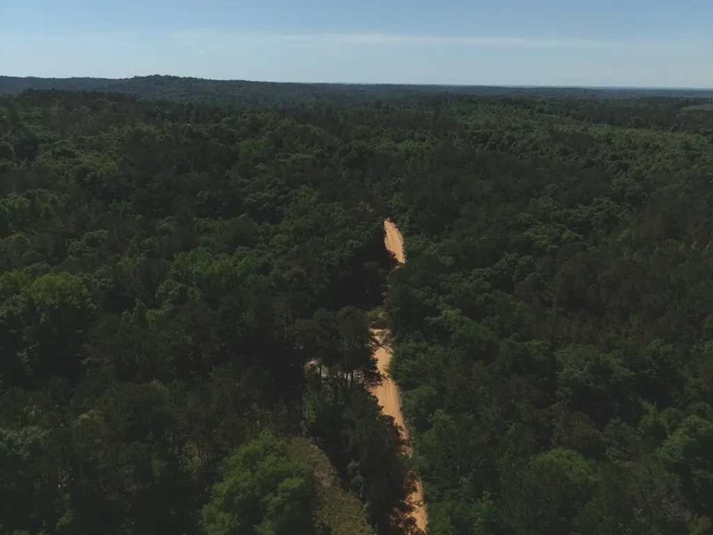125 Bankston Road Jackson AL 36545