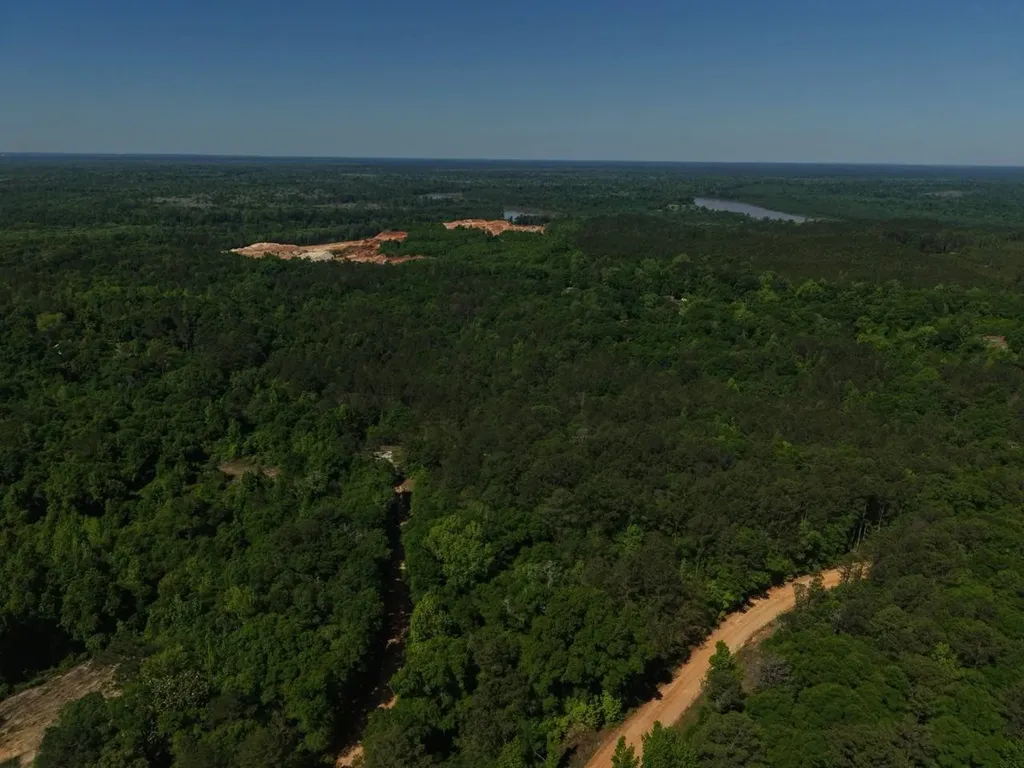 125 Bankston Road Jackson AL 36545